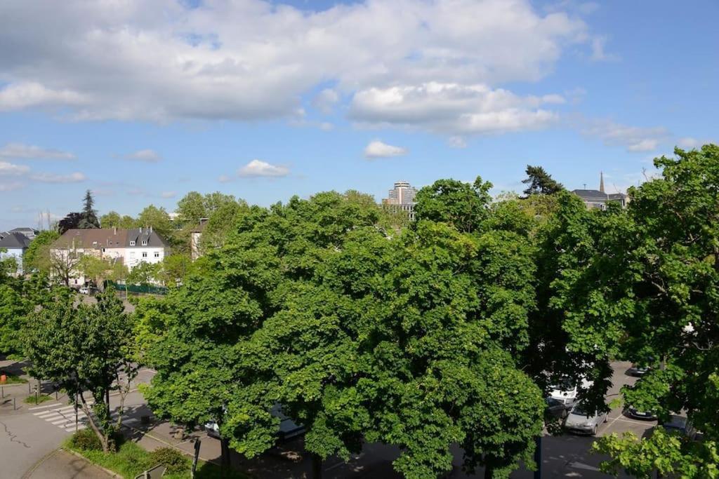 Tres Proche Centre-ville, Parking Gratuits, Centre *